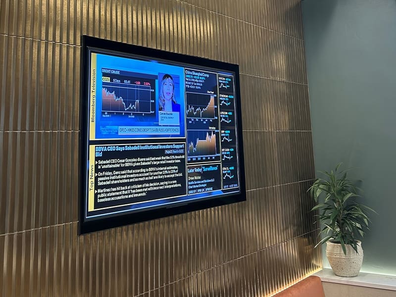 wall mounted display in a room with a potted plant